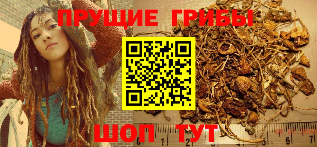 Псилоцибиновые грибы GOLDEN TEACHER Сосновоборск
